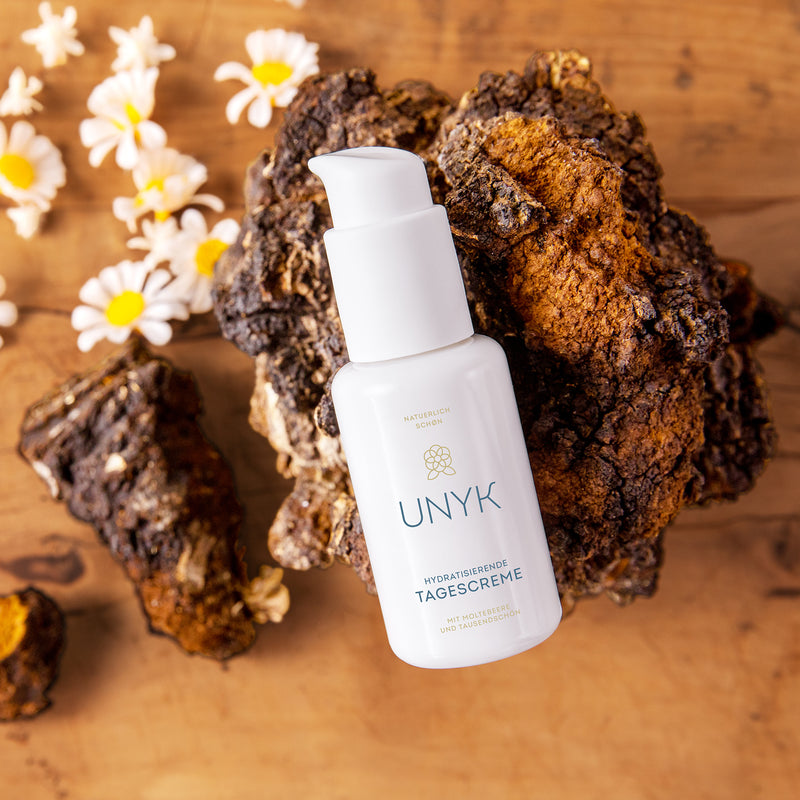 Tagescreme von UNYK liegt auf Chaga Pilz. Die nordischen Pflanzenauszüge eliminieren freie Radikale und helfen vorzeitiger Hautalterung vorzubeugen.